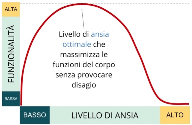 ansia-schema